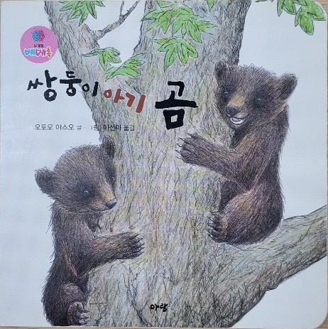 쌍둥이 아기 곰