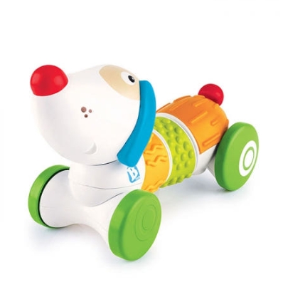 감각놀이 강아지