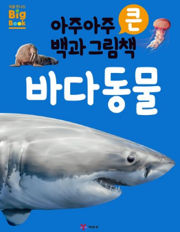 아주아주 큰 백과 그림책 : 바다 동물