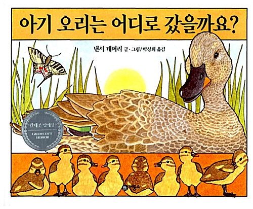 아기 오리는 어디로 갔을까요